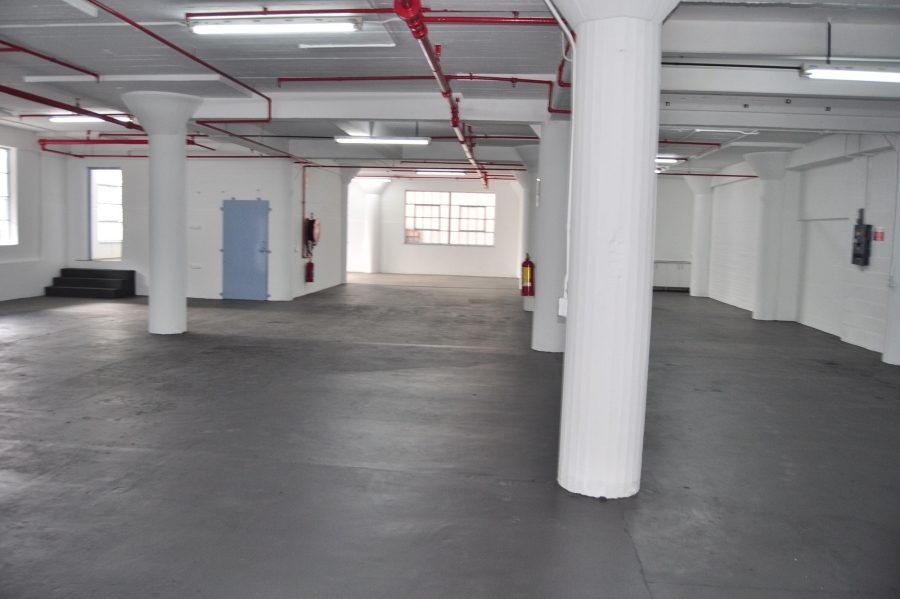 To Let commercial Property for Rent in Paarden Eiland Western Cape